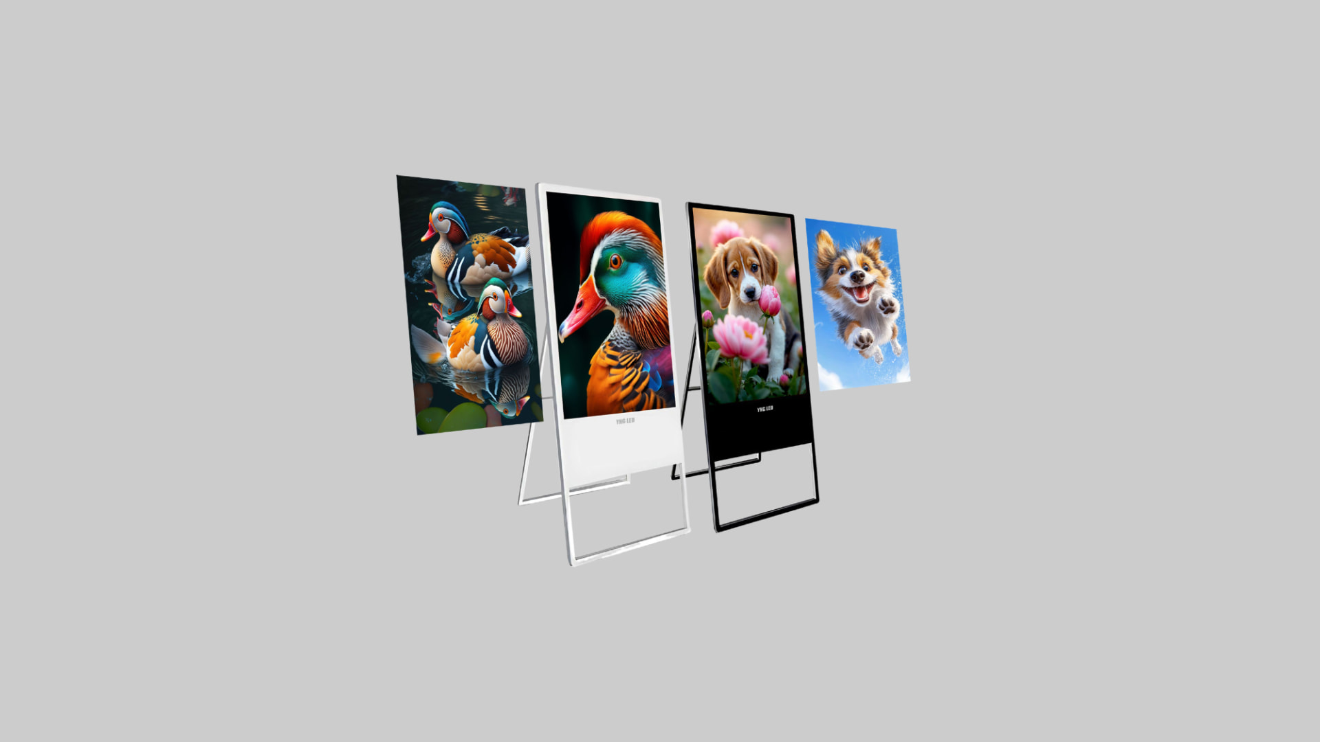 32 Inch LED TV branding display by Shine Ad Agency